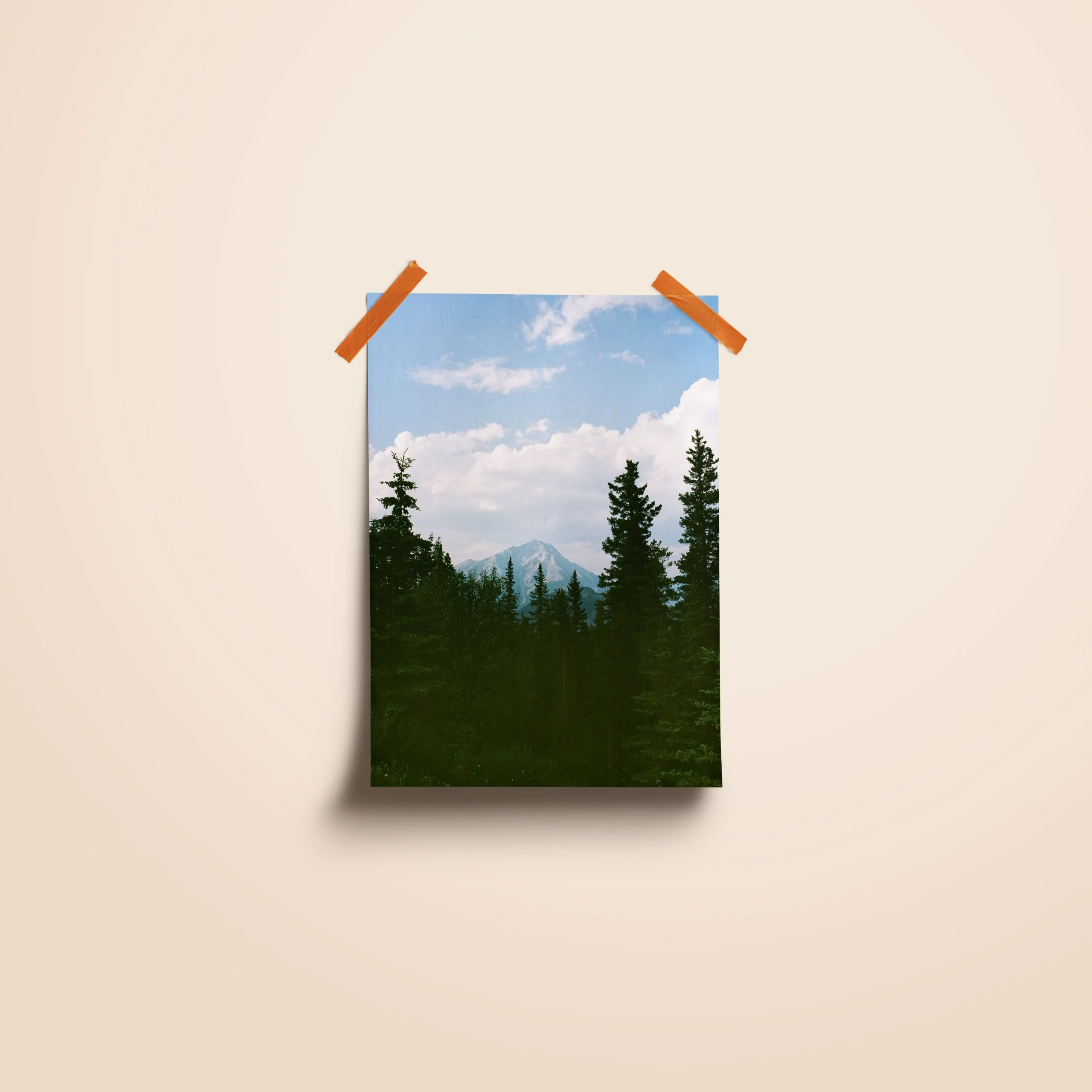 Affiche de la cime des arbres avec une haut de montagne