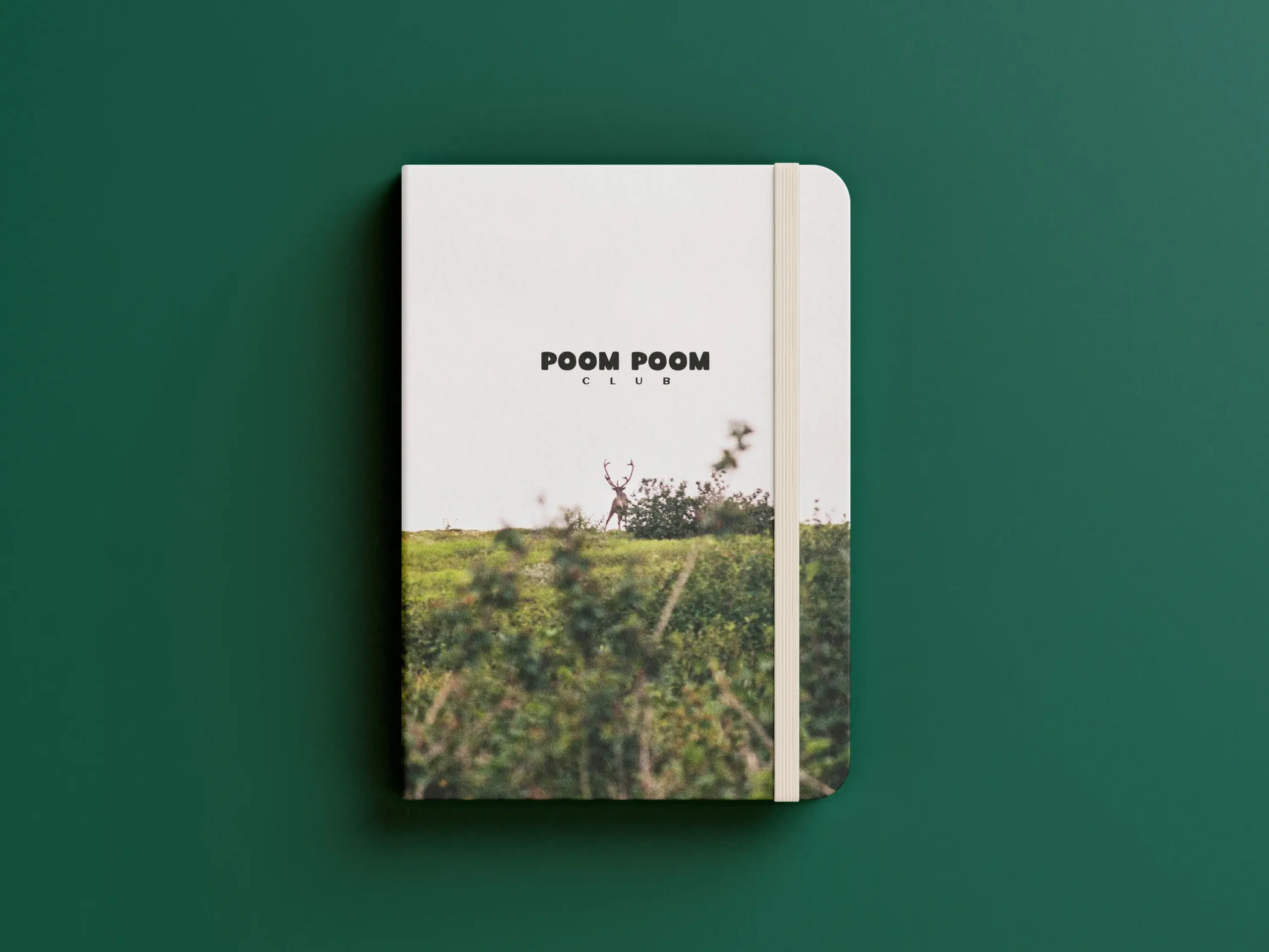 Carnet de notes avec un cerf face à la caméra au loin